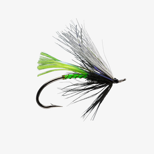 Sno-Cone Black Green 