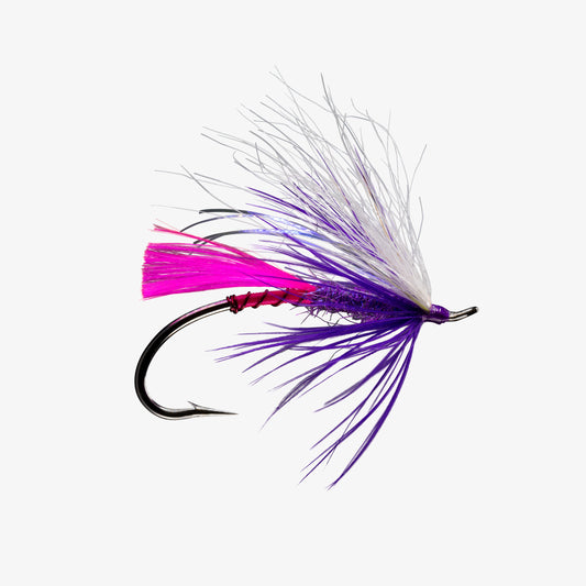 Sno-Cone Pink Purple 