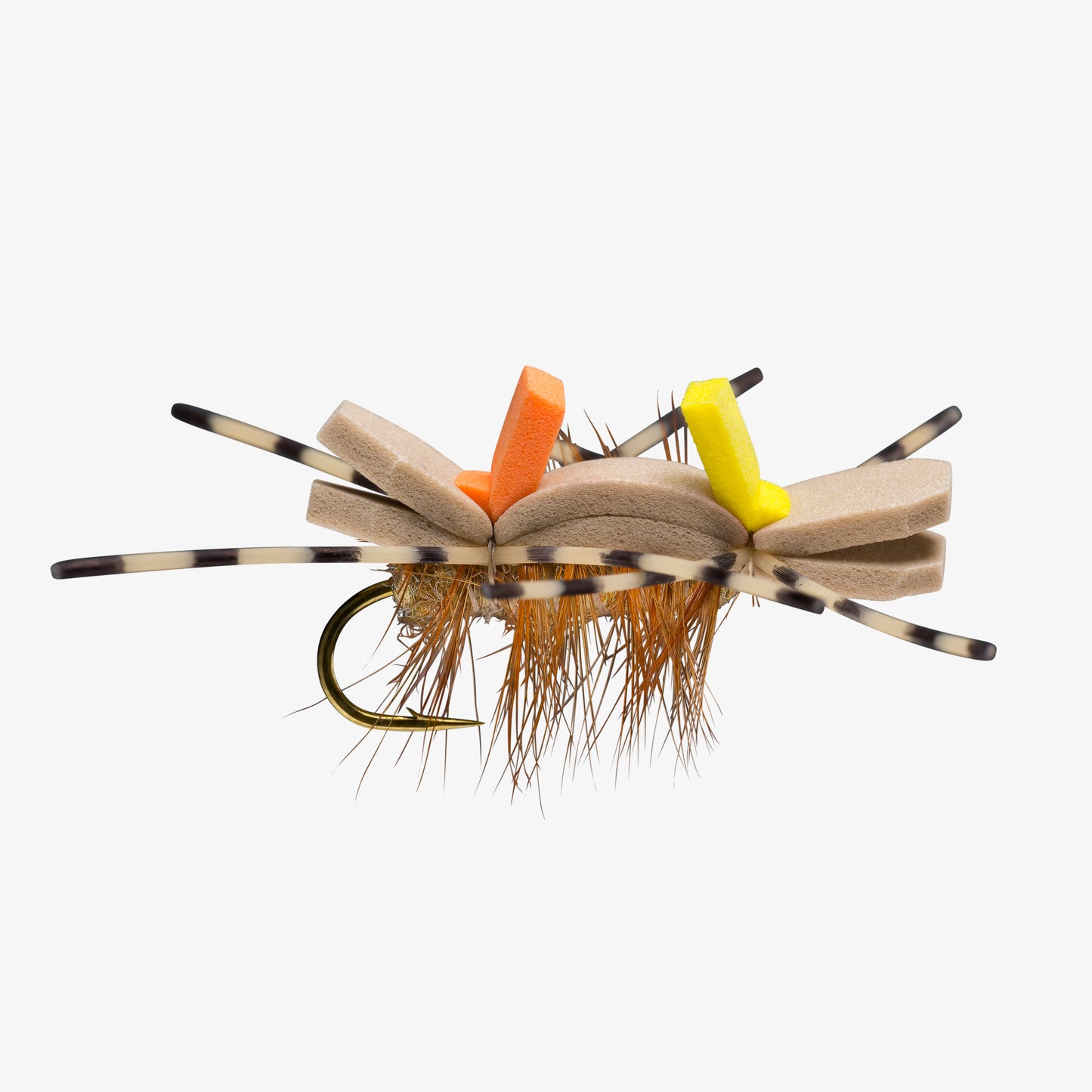 GoldenStoneBarredLeg 