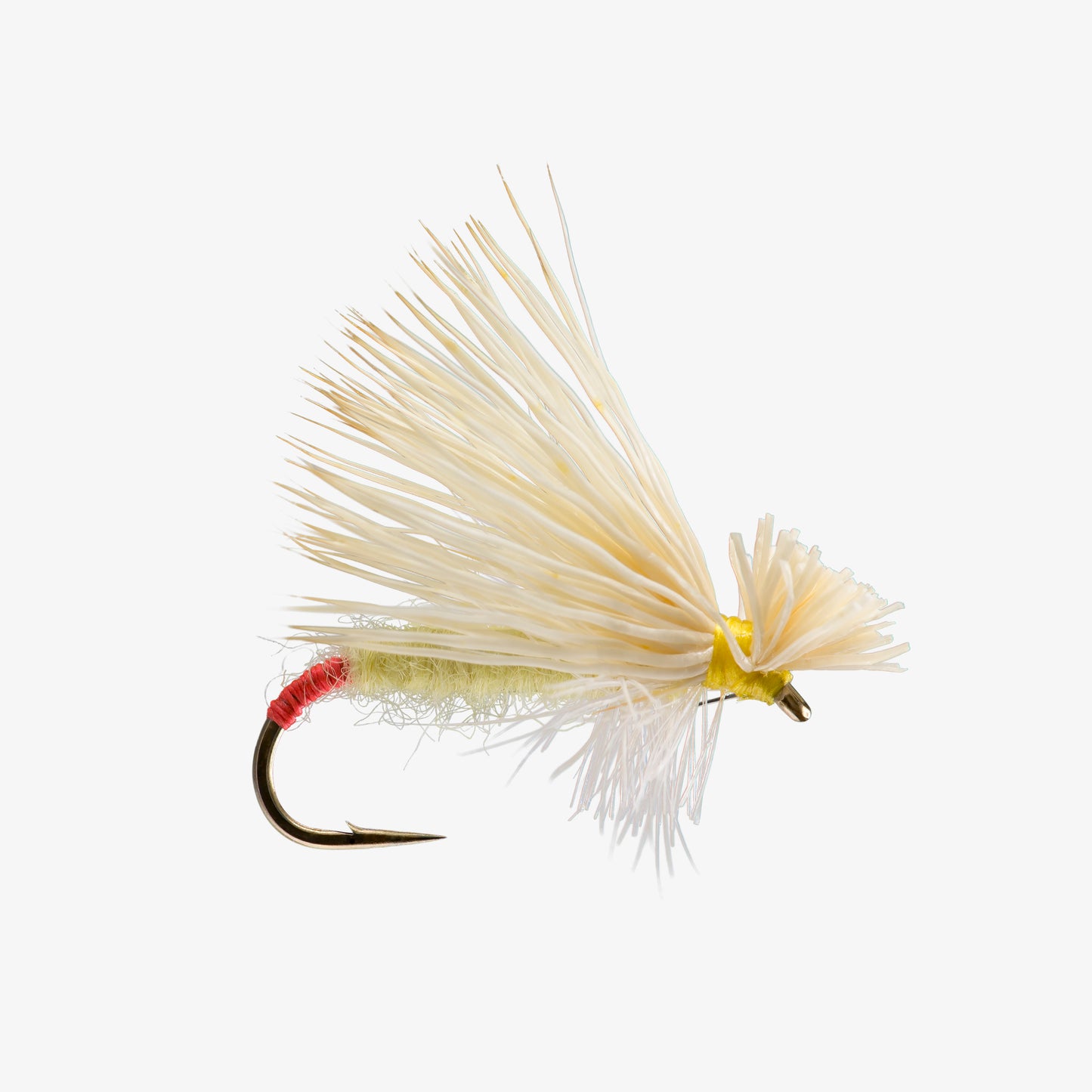 HairwingYellowSally 
