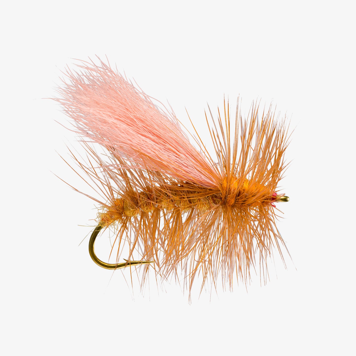 NormWoodSpecial 