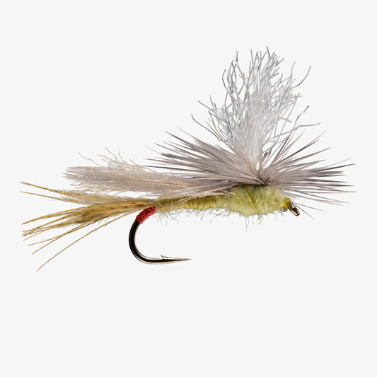 ParachuteYellowSally 