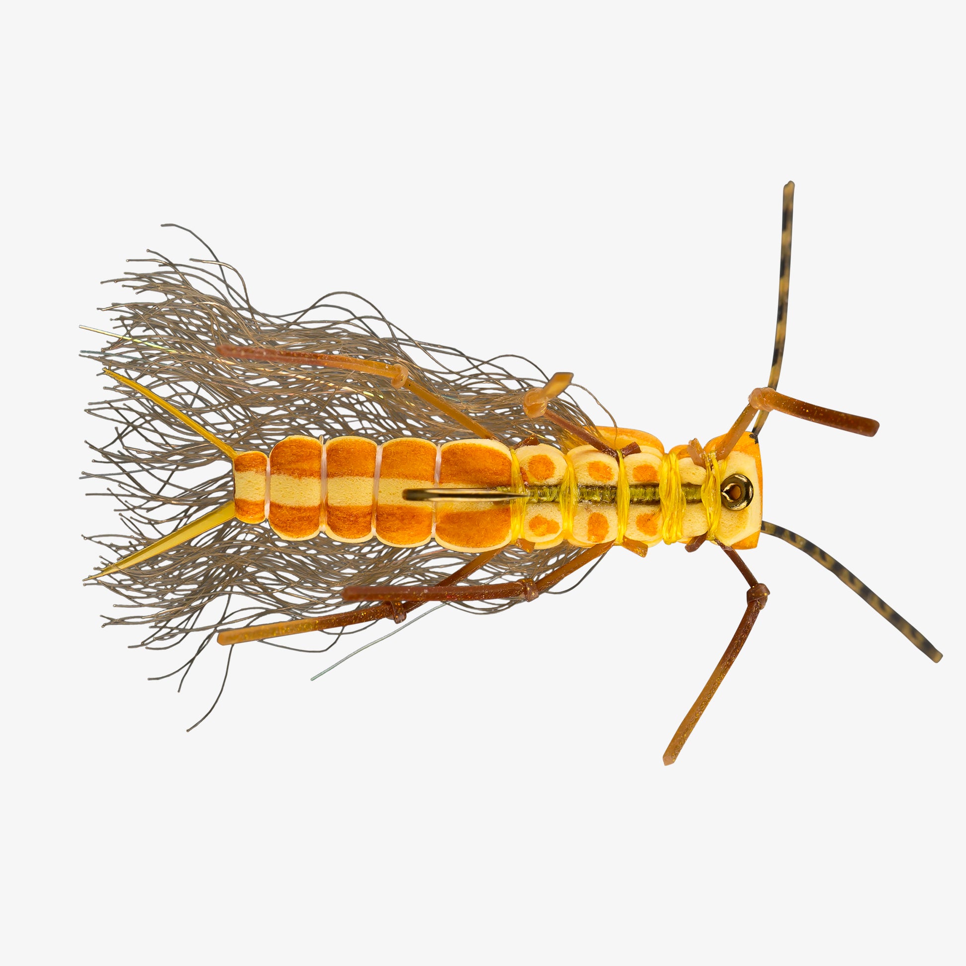 RIO's JuicyStone Golden BellyAngle 