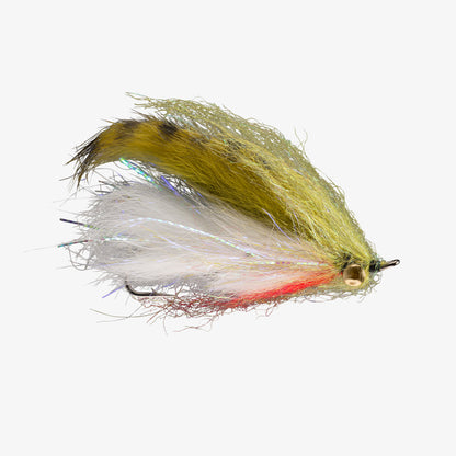 RIO's BrownTown Olive 