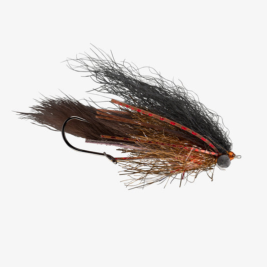 RIO's Extrovert BlackBrown 