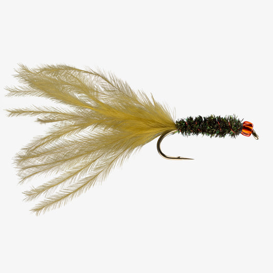 RedHeadLeech Olive 