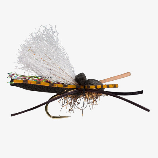 FlatHeadCicada 