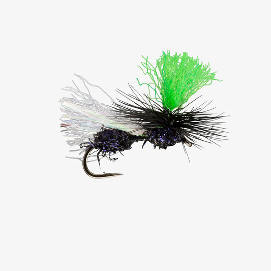 Hi-VisFlyingAnt Black 