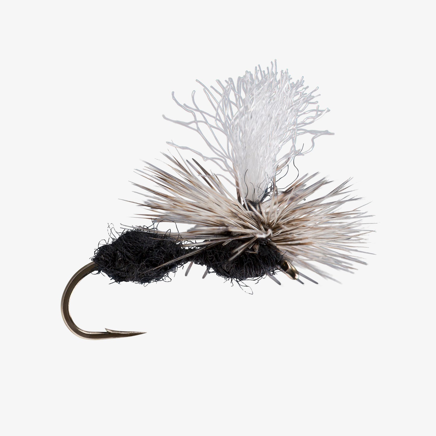 ParaAnt BlackandRed 