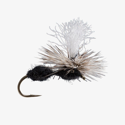 ParaAnt BlackandRed 