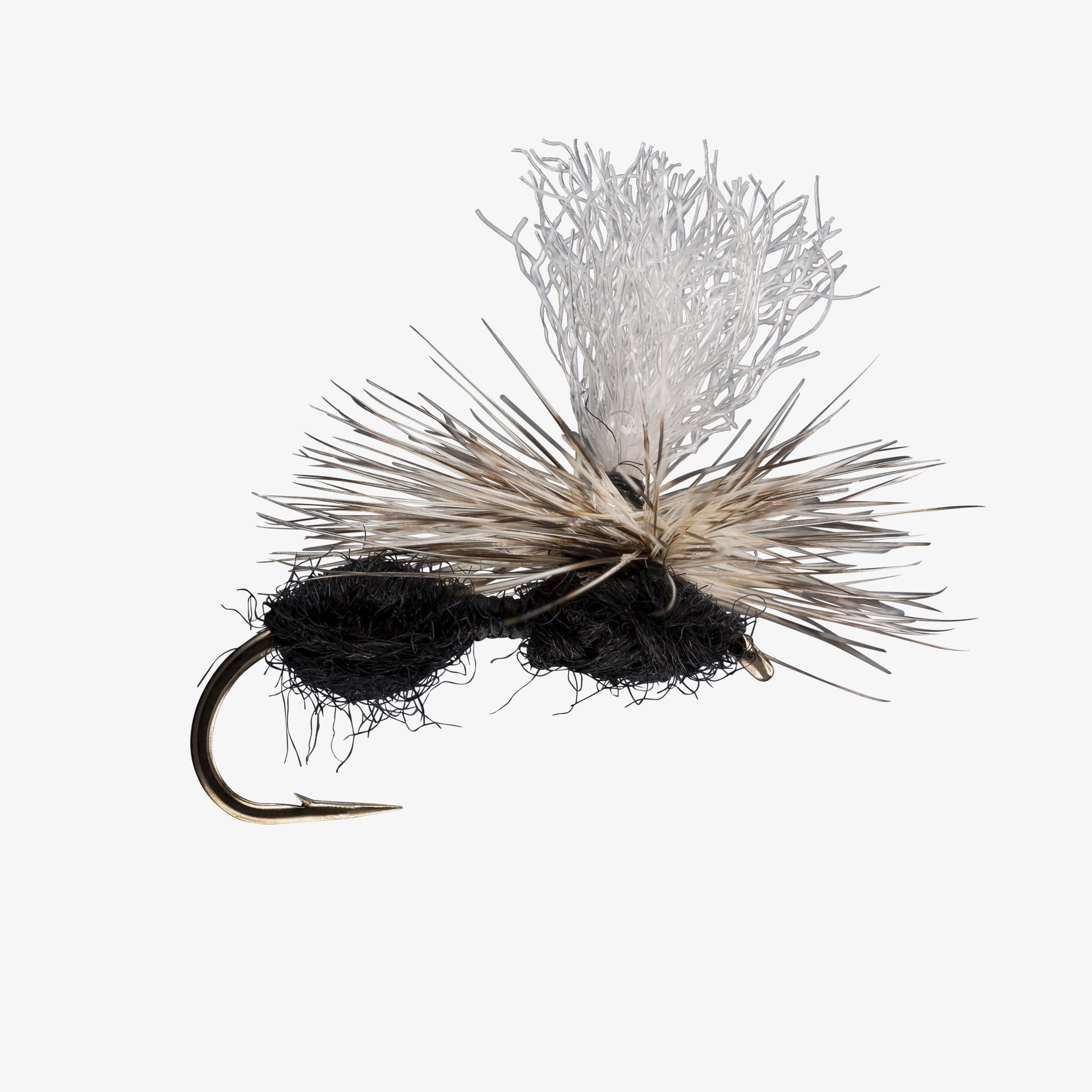 ParachuteAnt Black 
