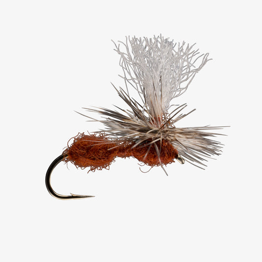 ParachuteAnt Rust 