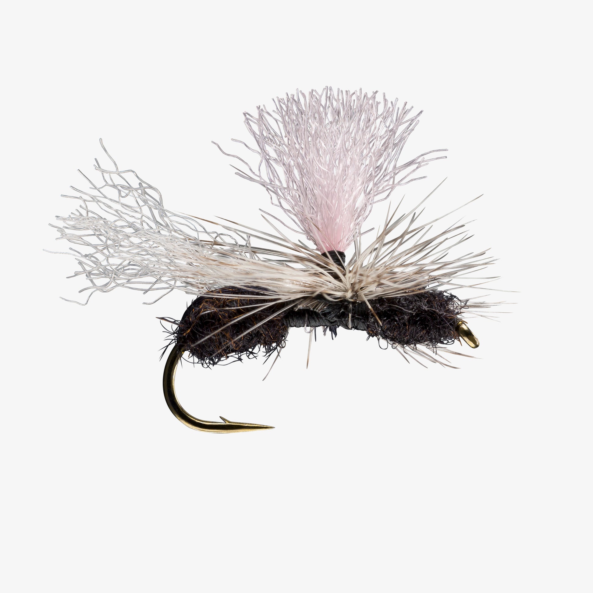 ParachuteFlyingAnt Black 