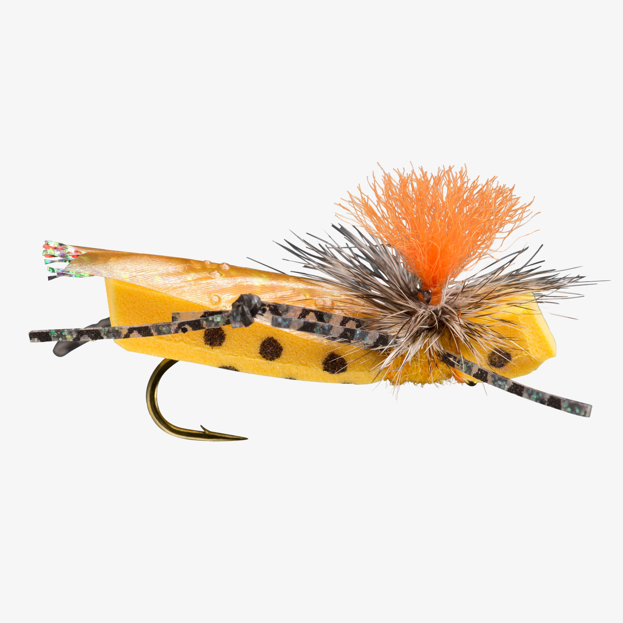 フレッチャーシュイナードデザインロングボードHP9.0 Flying Fish Parachute Frankenhopper | RIO Products