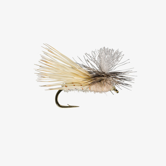 ParachuteSpruceMoth Cream 