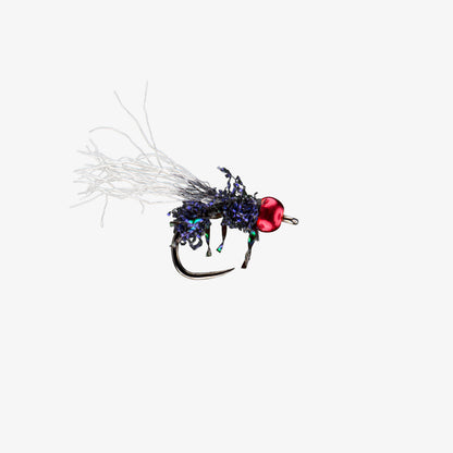 RIO's AntyRaidTB BlackRed 