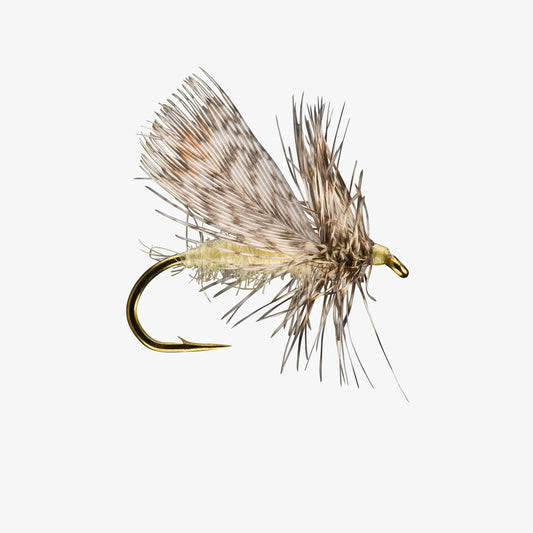SpentPartridgeSpruceMoth Cream 