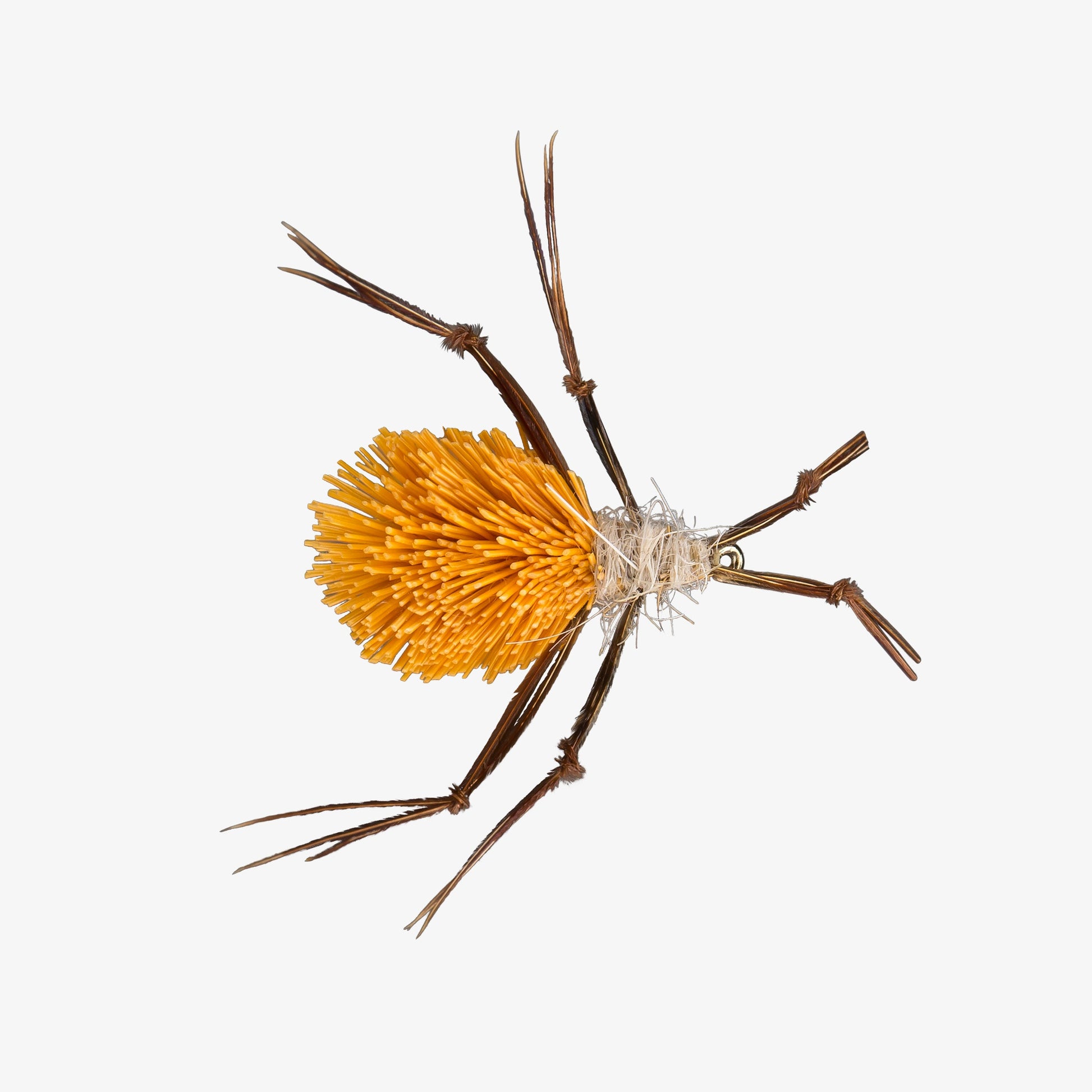 Spun Spider