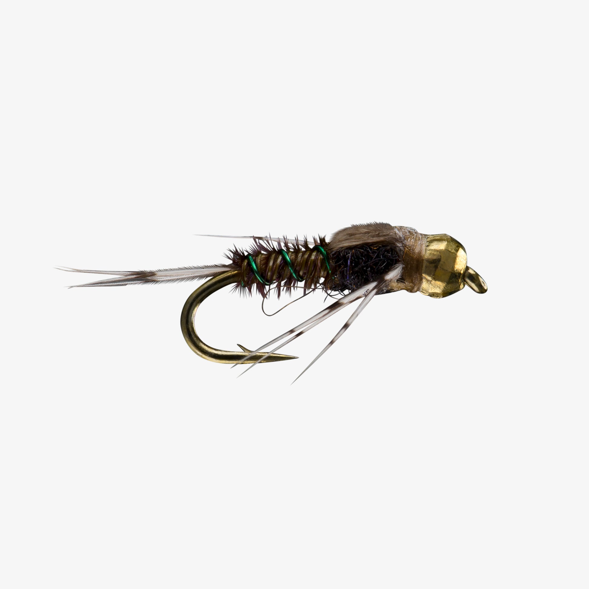Baetis Nymph TB Baetis 