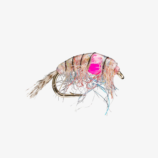 Midweight Scud Rainbow TB Hot Pink