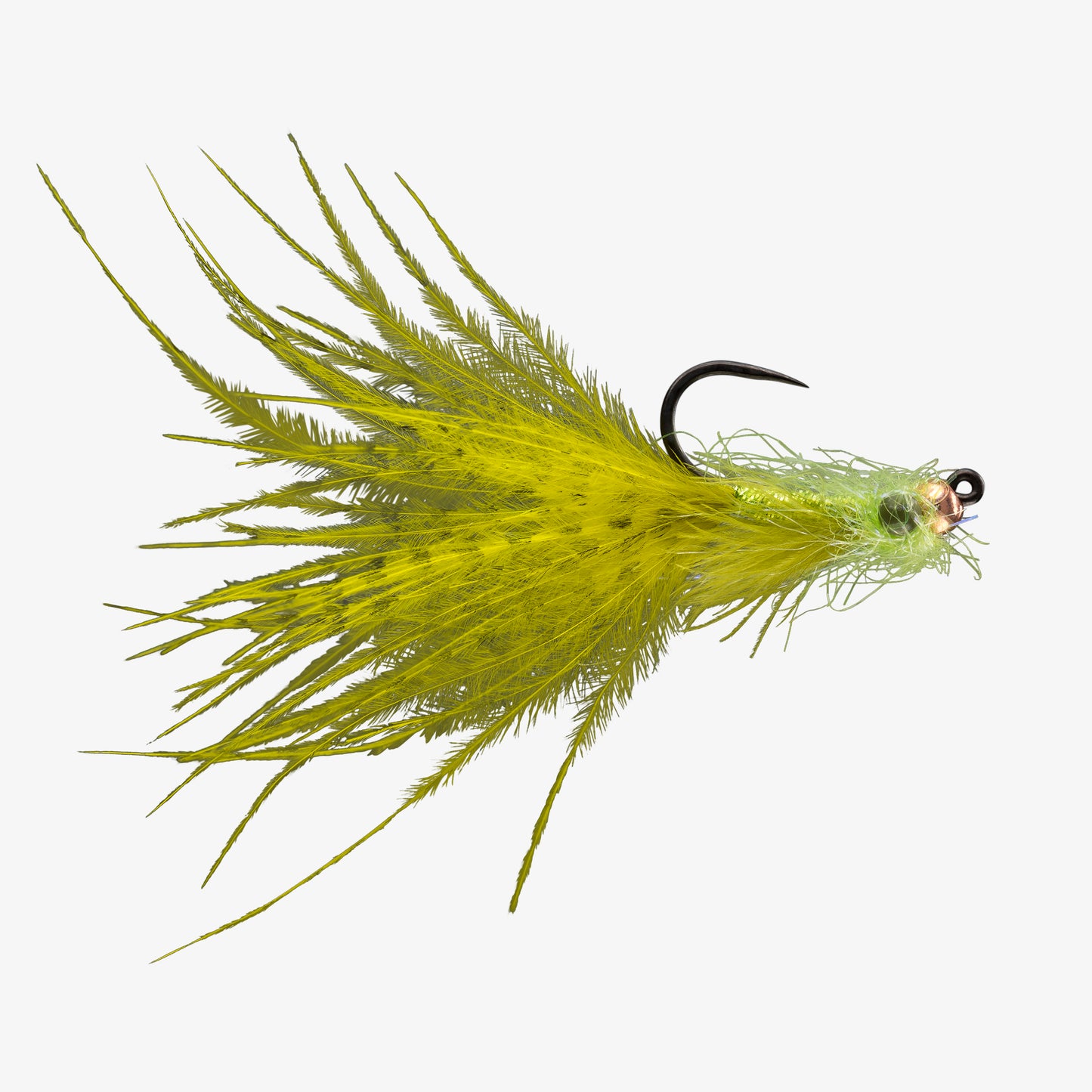 RIO's ButtercupTB Olive 