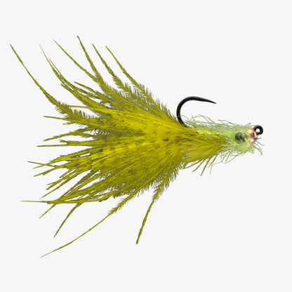 RIO's ButtercupTB Olive 