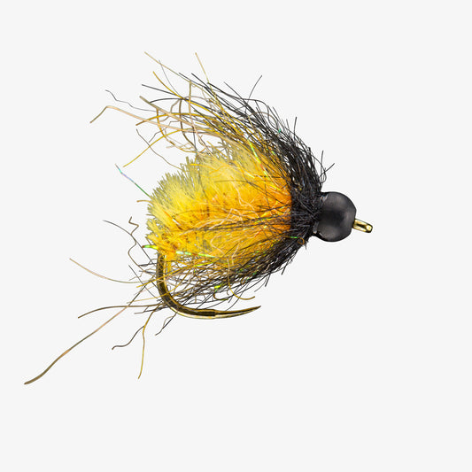 RIO's CaddyShack OctoberCaddis 