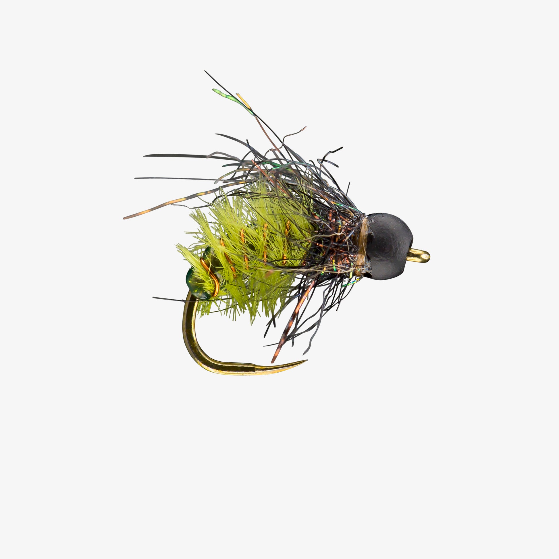 RIO's CaddyShack Olive 