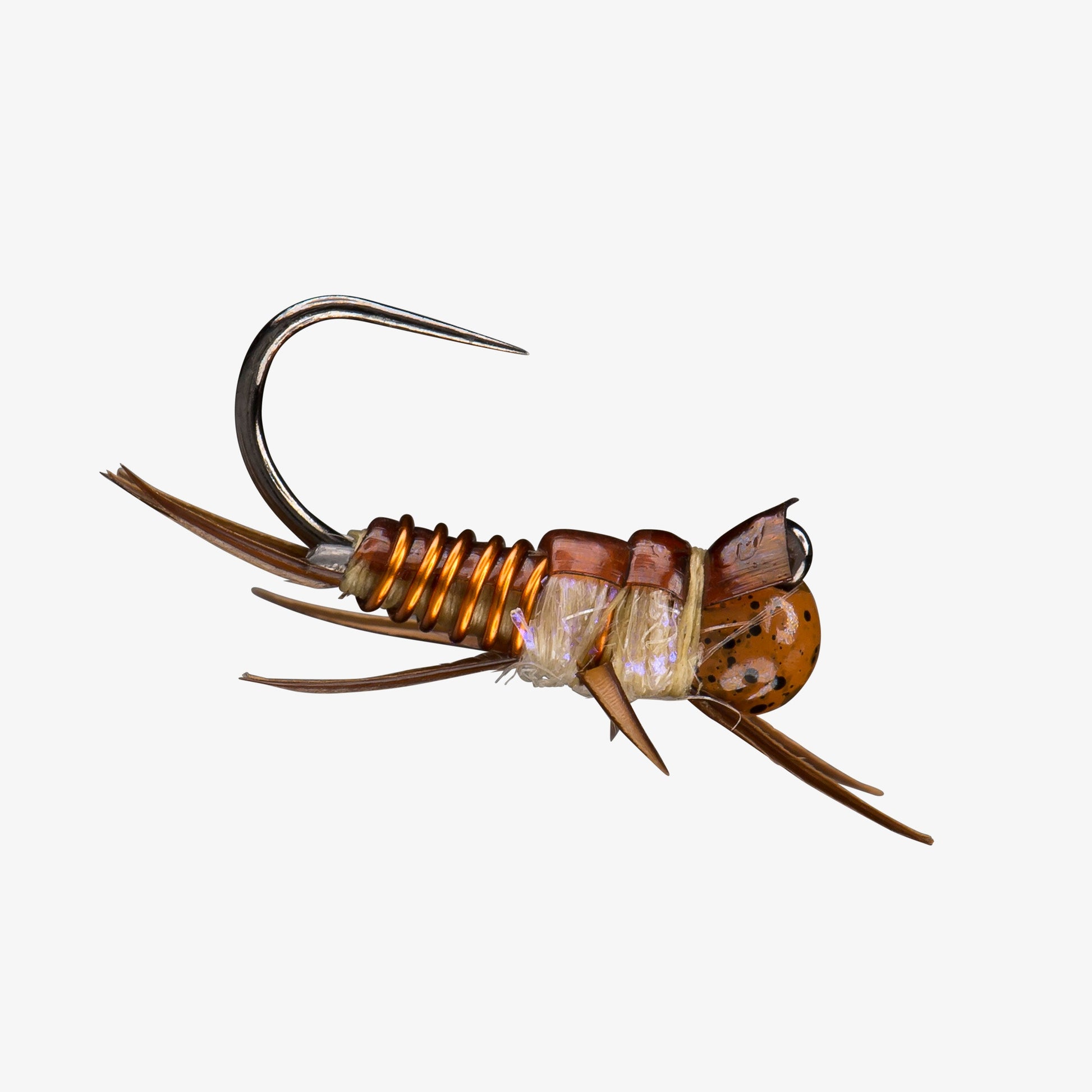 RIO's Point Drake TB