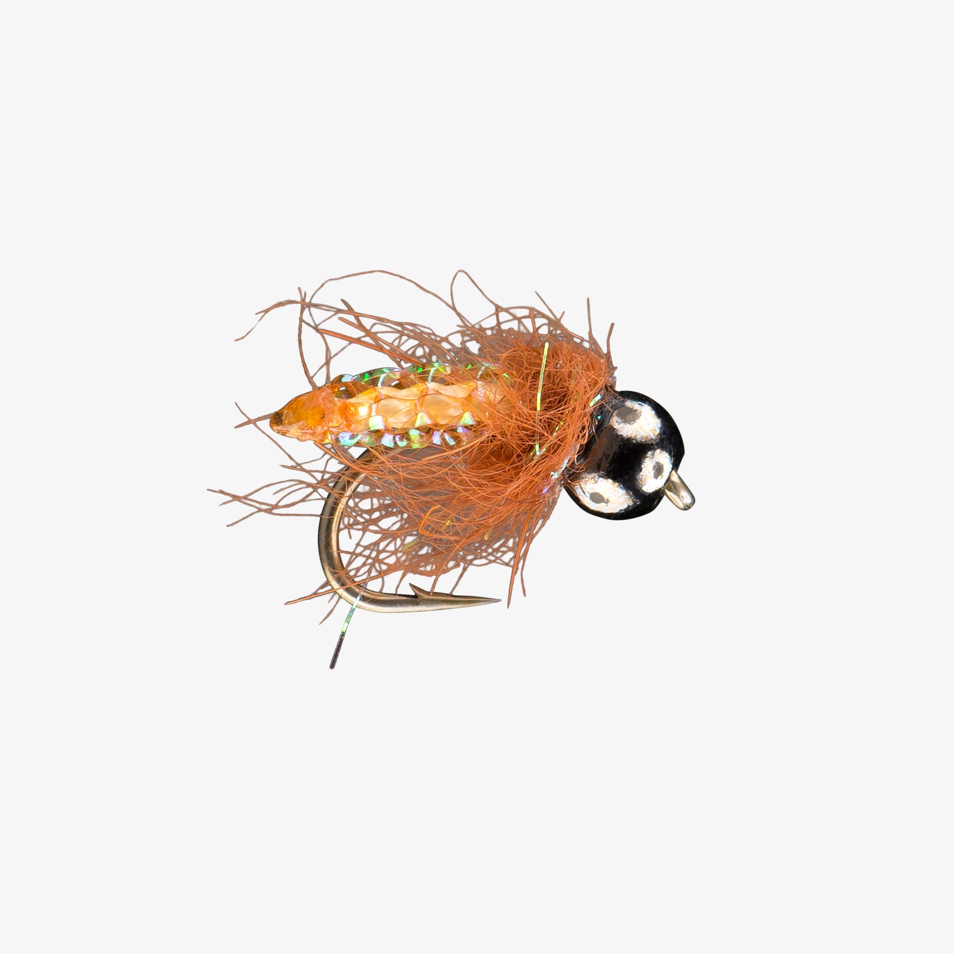RIO's PupaScoopaTB Honey FT 