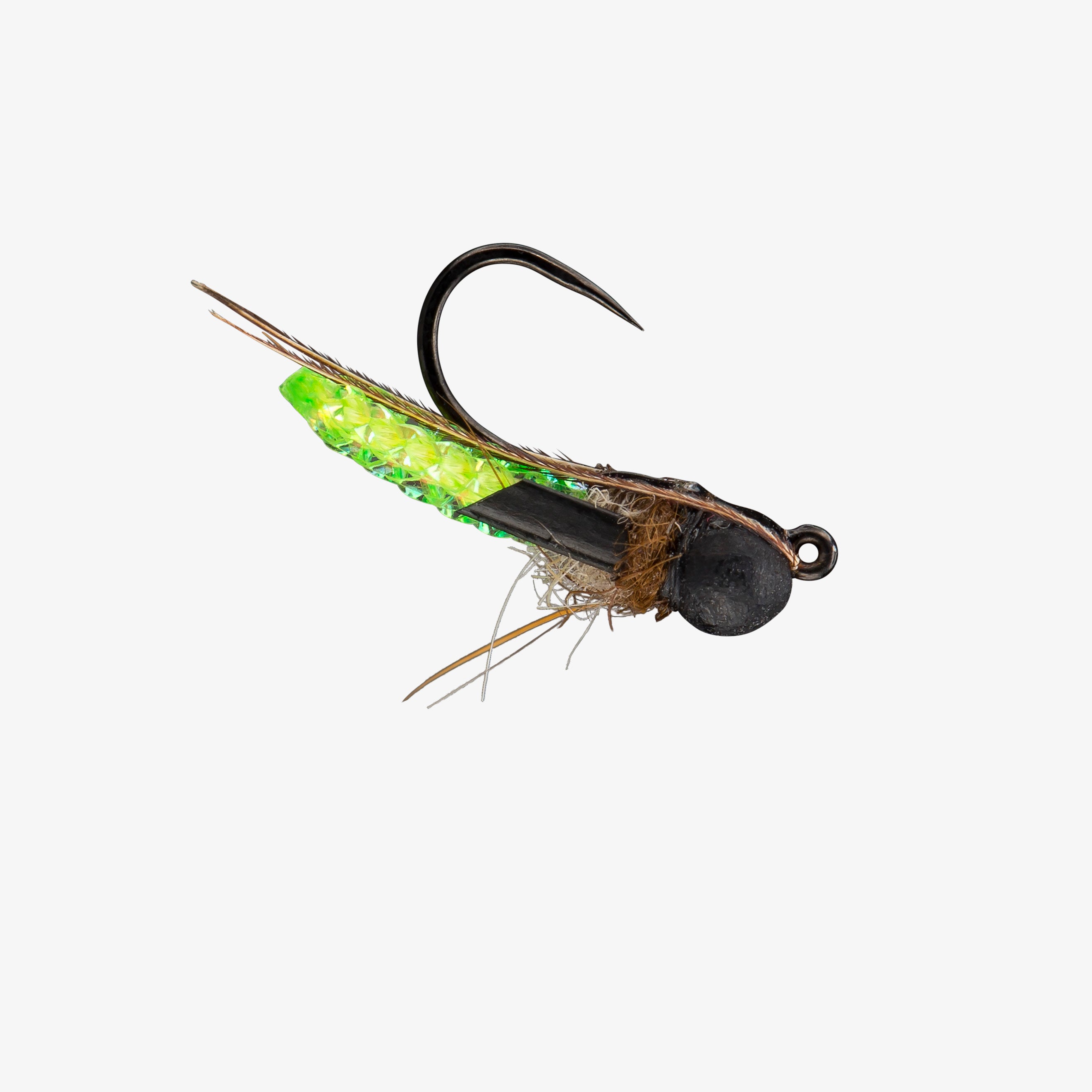 RIO's Puparazzi TB | RIO Products