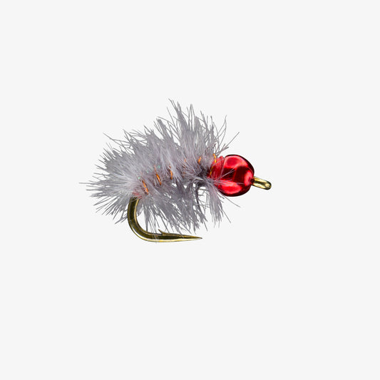 RayCharlesTB GrayRed 