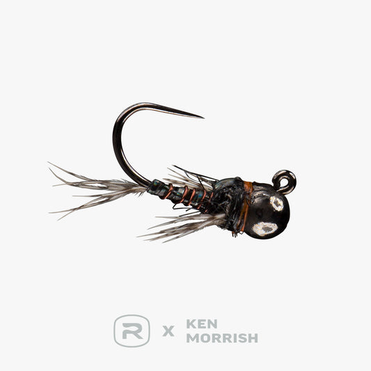 RIO's Morrish Sparkle Donkey TB