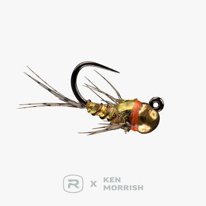 RIO's Morrish Sparkle Donkey TB