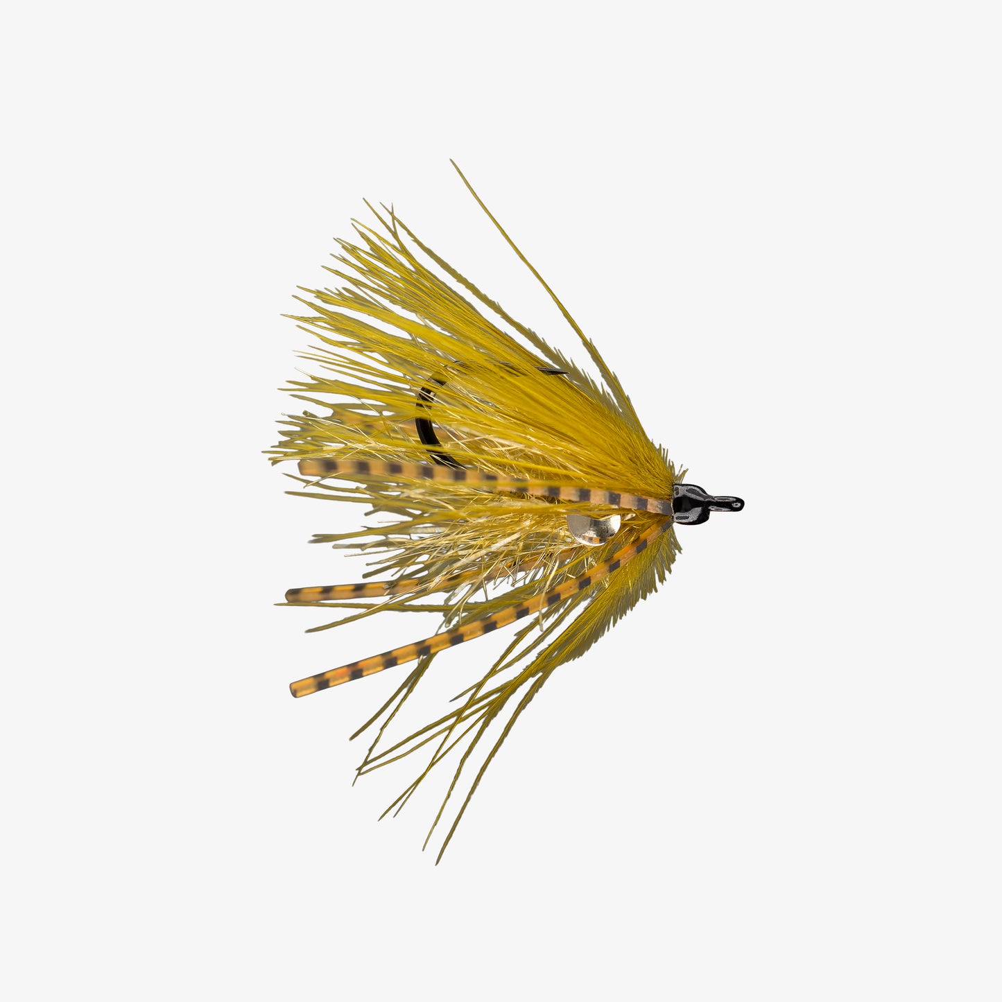 RIO's Carpdashian Olive 
