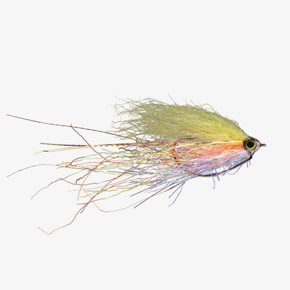 RIO's TurnUpDaBass Rainbow 