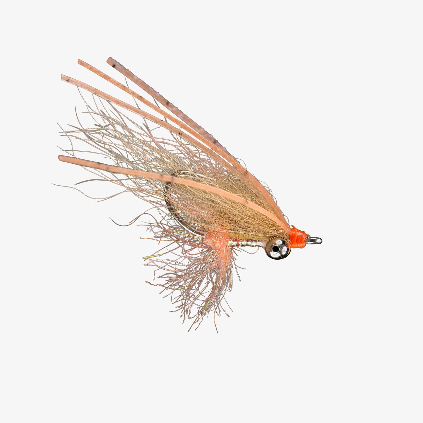 RIO's ArcticBoneSpawningShrimp 