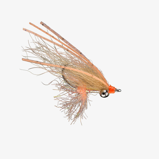 RIO's ArcticBoneSpawningShrimp 