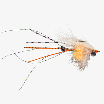 RIO's CarpetShrimp Orange 