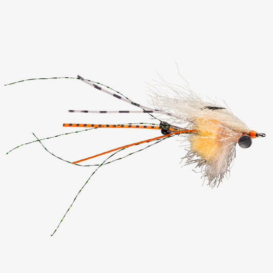 RIO's CarpetShrimp Orange 