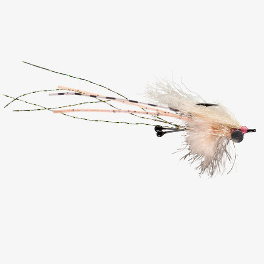 RIO's CarpetShrimp Pink 