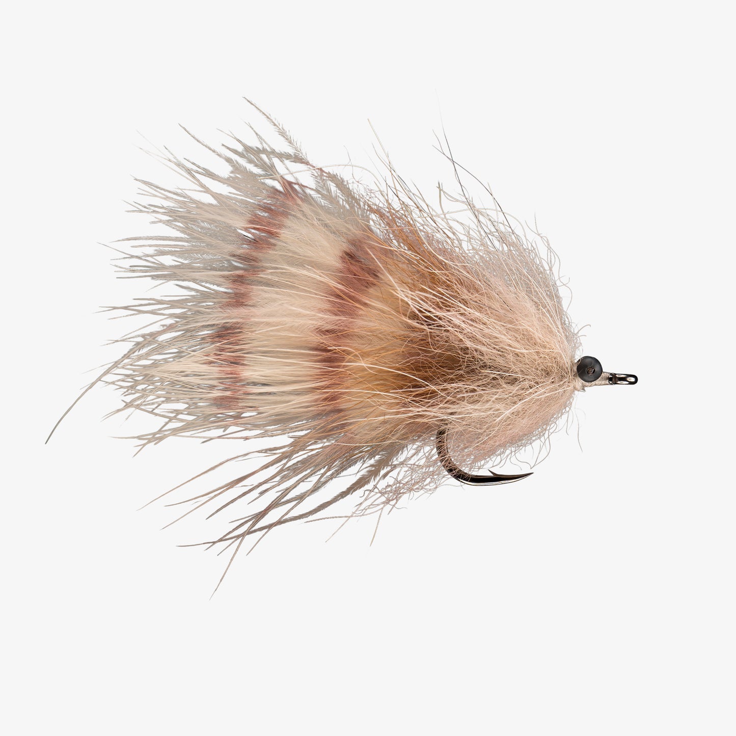 RIO's Kingslayer Coyote 