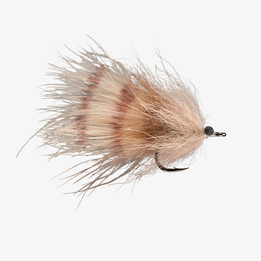 RIO's Kingslayer Coyote 