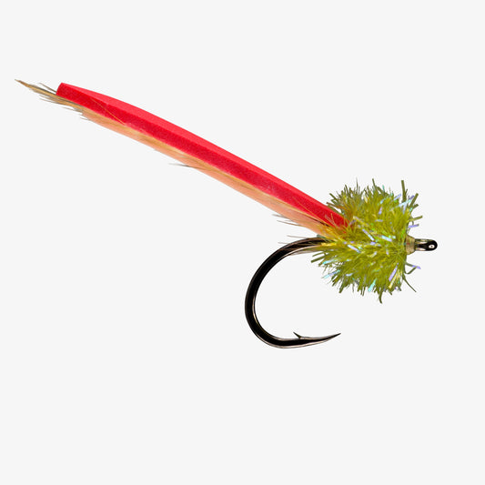 RIO's Palolo Worm