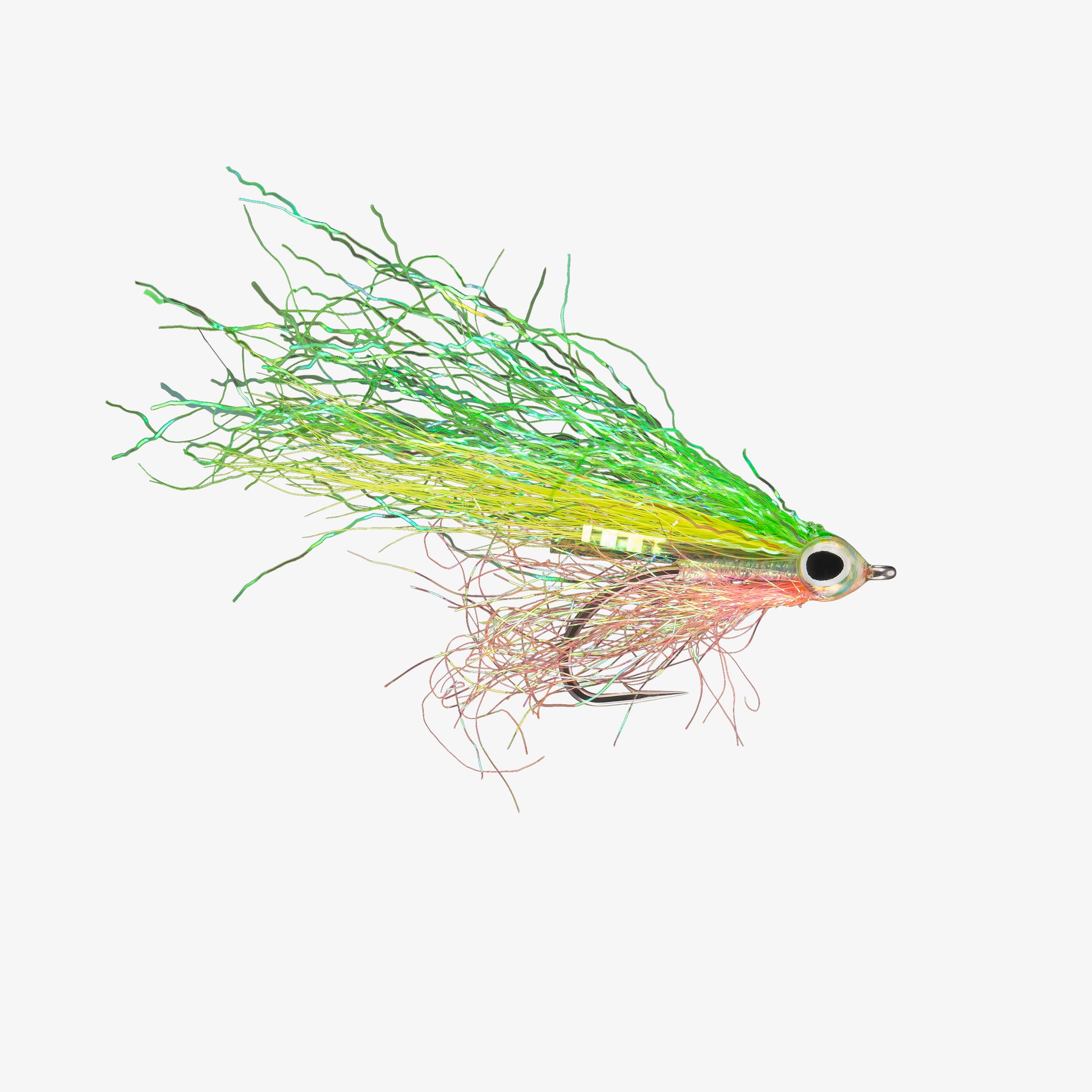 RIO's JustKeepSwimming ElectricChicken 
