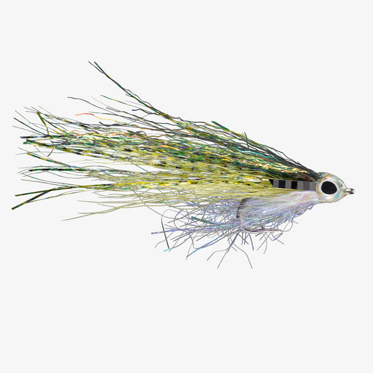 RIO's JustKeepSwimming Fry 