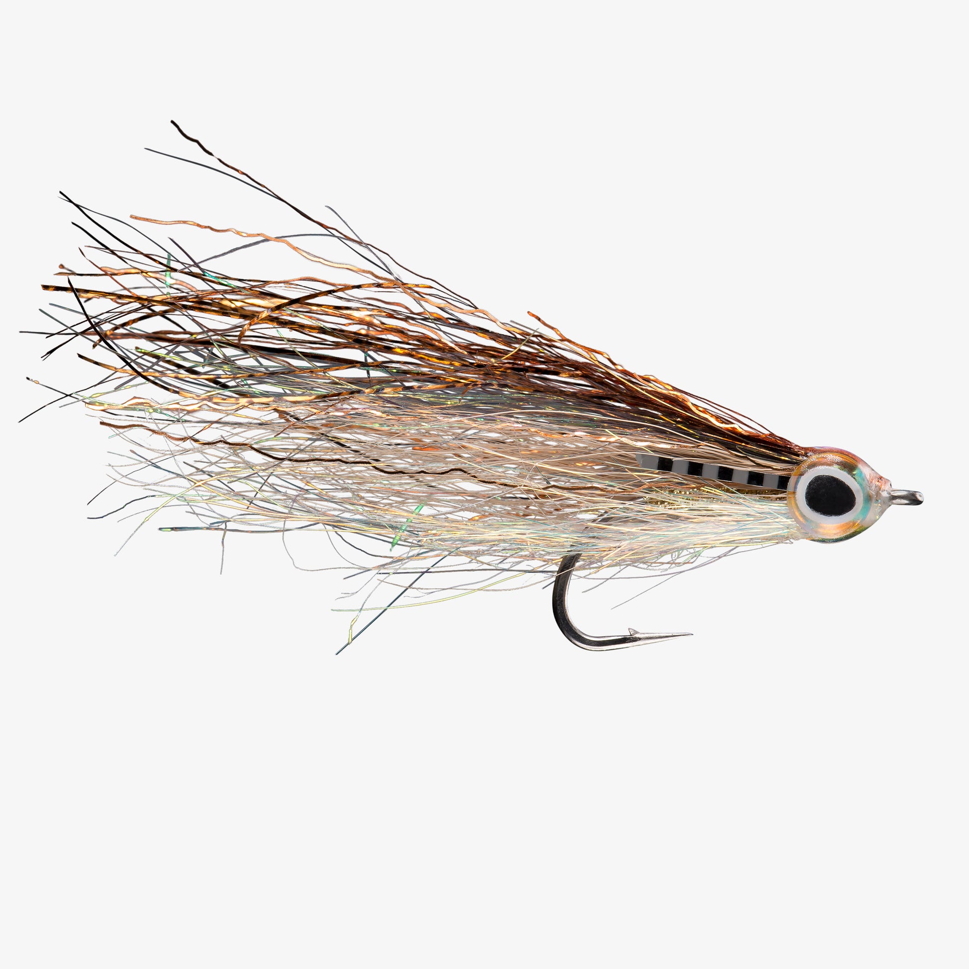 RIO's JustKeepSwimming GoldenShiner 