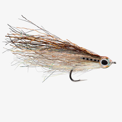 RIO's JustKeepSwimming GoldenShiner 