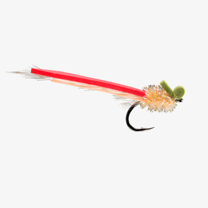 RIO's Palolo Slider