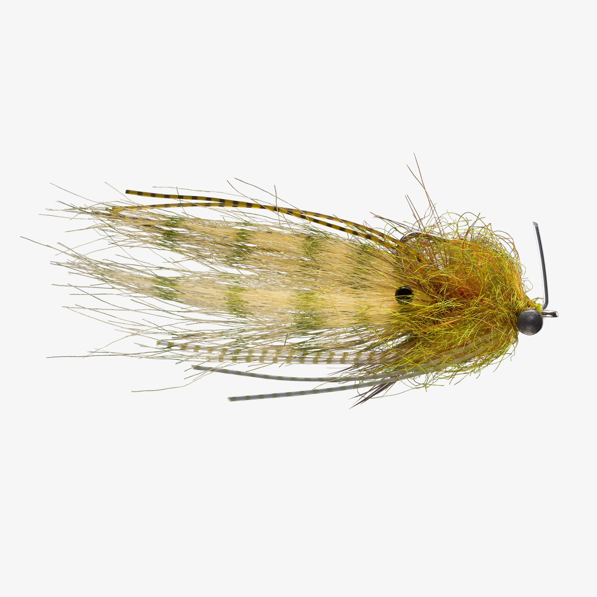 RIO's ShrimpTease Olive 